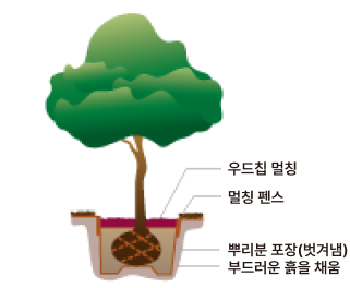 모식도 이미지 1